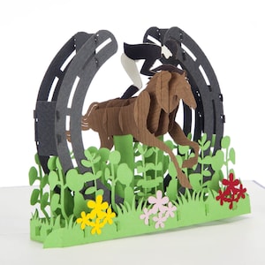 Carte pop-up cross-country, cartes d'anniversaire équestres, cartes de voeux de cheval, cartes d'anniversaire, cadeaux liés aux chevaux, cartes pop-up faites main au Royaume-Uni
