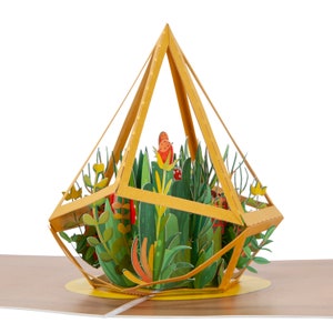 Terrarium Pop Up Card | Succulent Plant 3D Card | Perfect for a New Home Card or New Home Gift | 100% Hand Assembled | Pop Up Cards