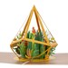 Terrarium Pop Up Card | Succulent Plant 3D Card | Perfect for a New Home Card or New Home Gift | 100% Hand Assembled | Pop Up Cards 