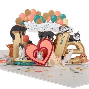 Katzen Pop Up Karte für Geburtstage oder Jahrestage - Battersea Dogs & Cats Home Charity Karte - offizielles Lizenz