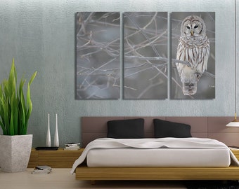 3 Panel Canvas Split, Barred owl in the forest, Canvas art, Interior, Room Decoration, Photo gift.