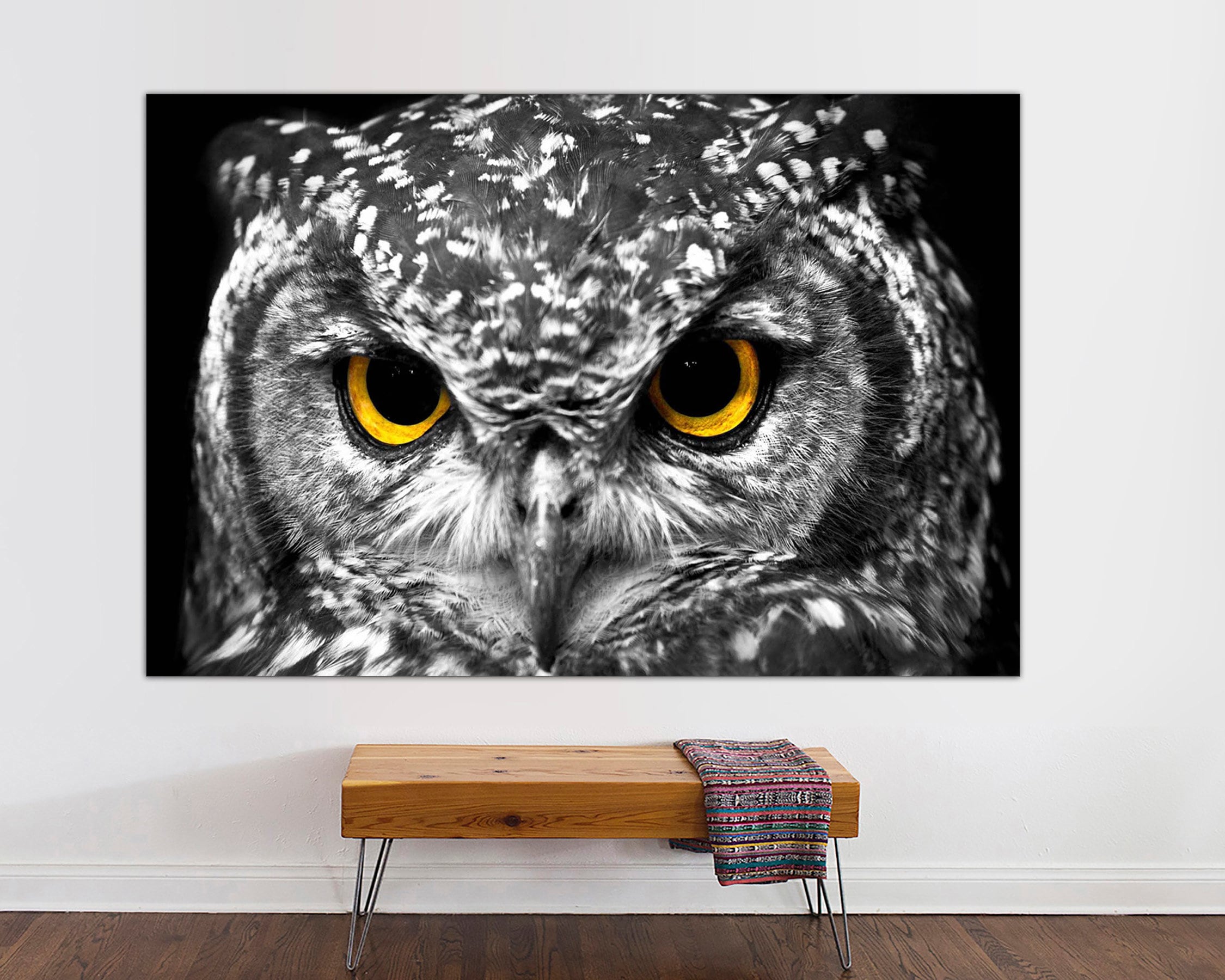 Gold Eyed Owl Portrait, Modern Farmhouse Canvas Art, Ready to Hang