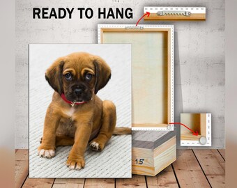 May include: A brown and white puppy with a red collar sits on a white fluffy rug. The puppy is looking at the camera. The image is a canvas print, ready to hang, with a 1.5 inch thick wooden frame.