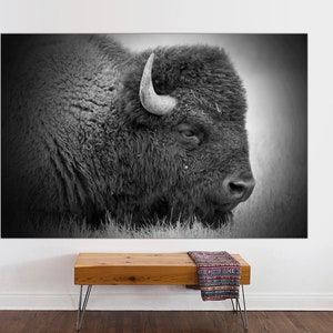 Buffalo Print, Bison Photograph in Black and White Bison Canvas Print Wall Art Living Room Home Decor, Buffalo Canvas Print READY TO HANG.