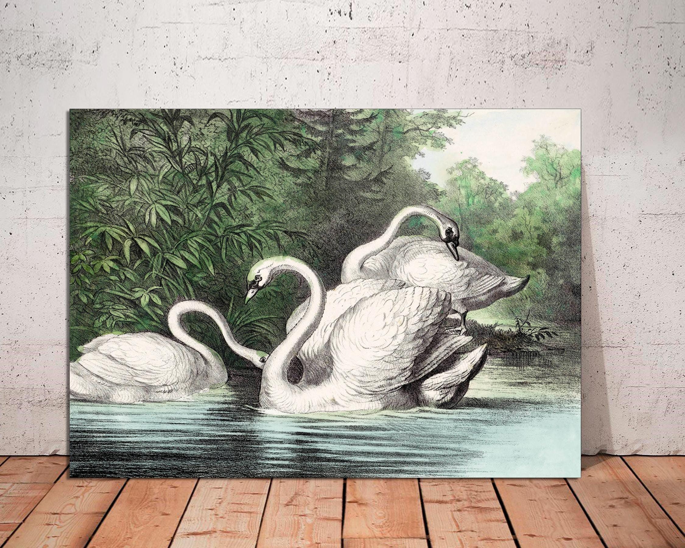 Vintage Swan Art Print on Canvas, Ready to Hang - Etsy