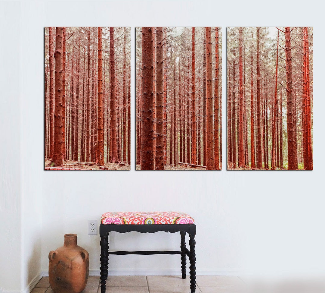 Red Aspen, Birch Trees With Red Leaves. Canvas Print 3 Panel Split
