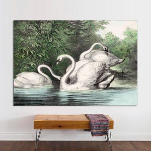 Vintage Swans Art Print on Canvas, Vintage Swan Poster Art, Classic Swan Art, Beautiful Swan Print, Swan Wall Art on CANVAS Ready to Hang.