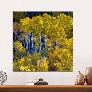Bosque de álamos otoñales, arte mural panorámico, arte de bosque de abedules otoñales, lienzo de Nevada, impresión en lienzo de bosque, arte en lienzo de naturaleza LISTO PARA COLGAR
