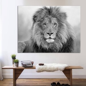 Puede incluir: Una fotograf&iacute;a en blanco y negro de un le&oacute;n con una melena espesa. El le&oacute;n est&aacute; mirando directamente a la c&aacute;mara.
