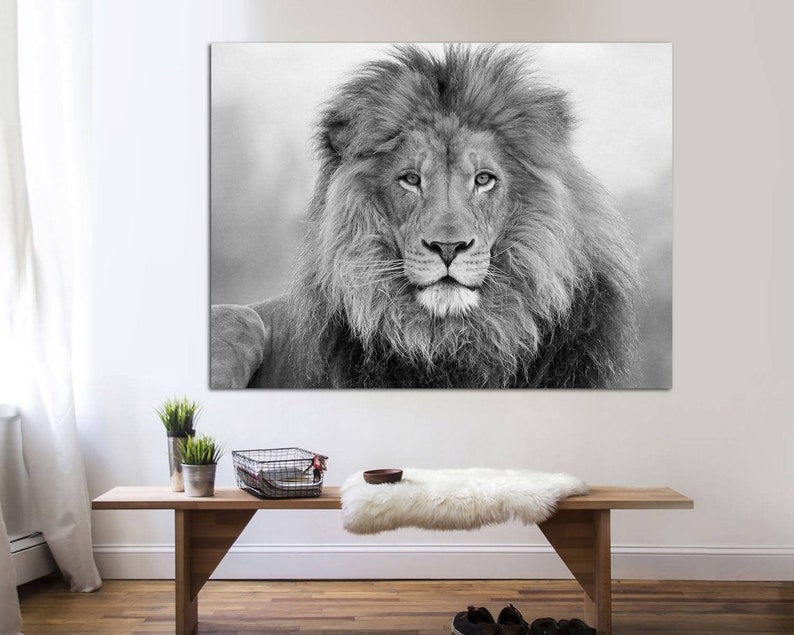 Puede incluir: Una fotograf&iacute;a en blanco y negro de un le&oacute;n con una melena espesa. El le&oacute;n est&aacute; mirando directamente a la c&aacute;mara.