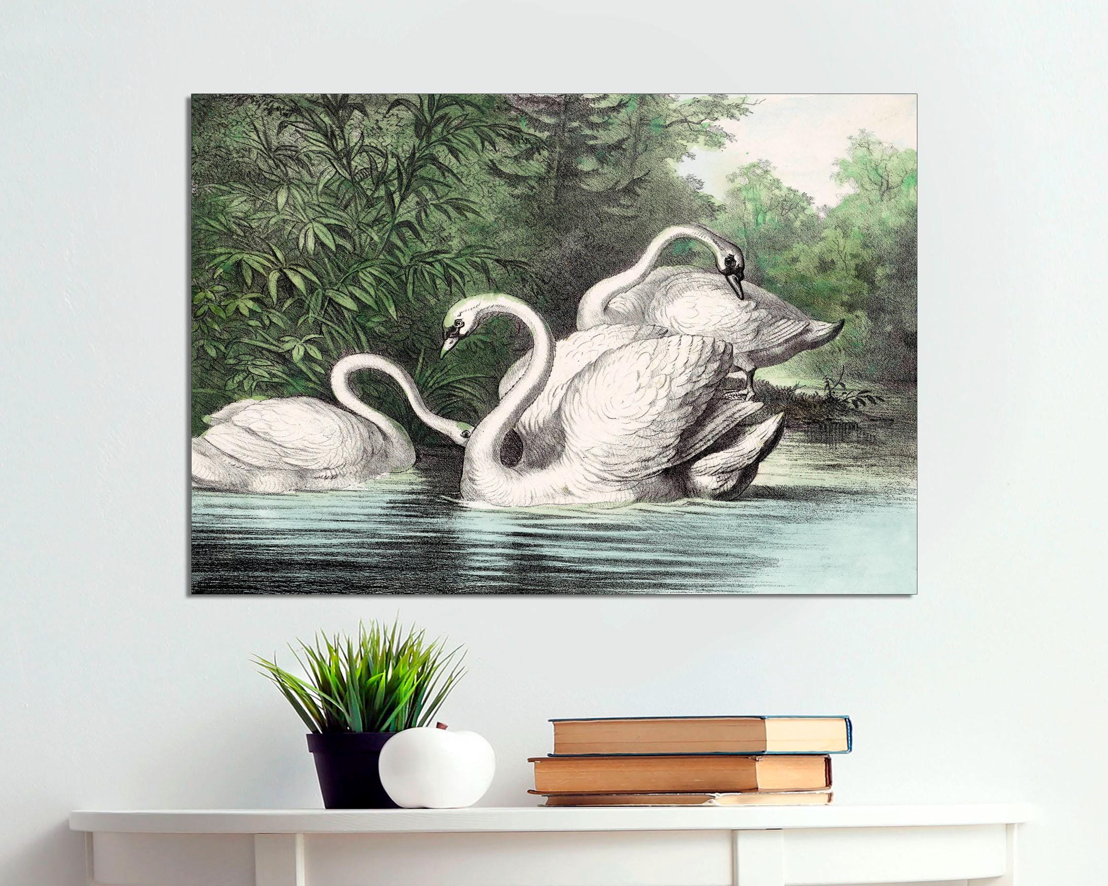 Vintage Swan Art Print on Canvas, Ready to Hang - Etsy