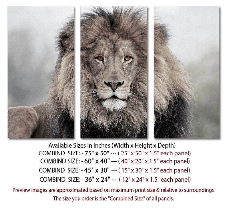 3 Panel Canvas Split African lion canvas art Giclee print Etsy