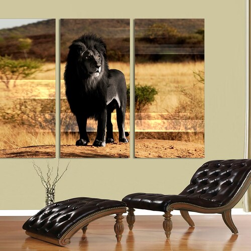 Black Lion, 3 Panel Canvas shops Split, canvas art, lion print ,Interior design,Room Decoration, Photo gift, lion art,lion wall art, lion poster
