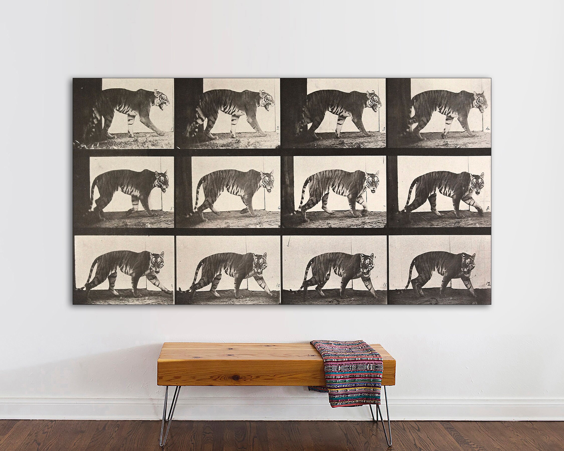 アート・デザイン・音楽 Eadweard Muybridge. アート・デザイン・音楽 Eadweard Muybridge. Eadweard Muybridge