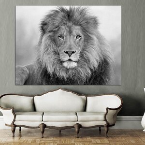 Puede incluir: Una fotograf&iacute;a en blanco y negro de un le&oacute;n con una melena espesa. El le&oacute;n est&aacute; mirando directamente a la c&aacute;mara.