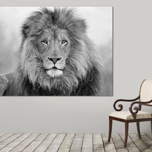 Puede incluir: Una fotograf&iacute;a en blanco y negro de un le&oacute;n con una melena espesa. El le&oacute;n est&aacute; mirando directamente a la c&aacute;mara.