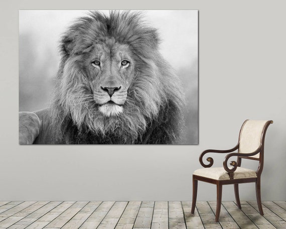Black and White Lion wall art , canvas print, Interior design, Room Decoration, Photo gift, Lion wall art, wall art, Lion canvas print.