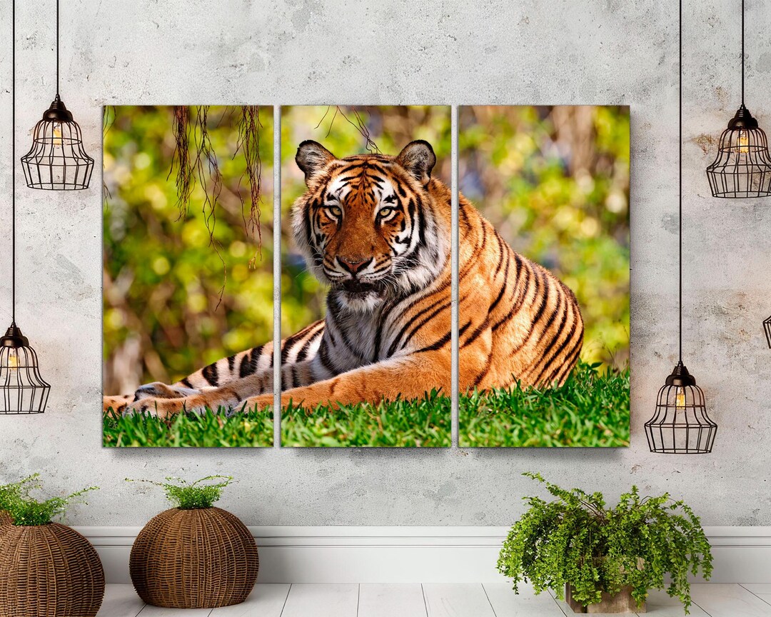 Sumatran Tiger Canvas Wall Art – 3-panel Split, Big Cat Portrait - Etsy