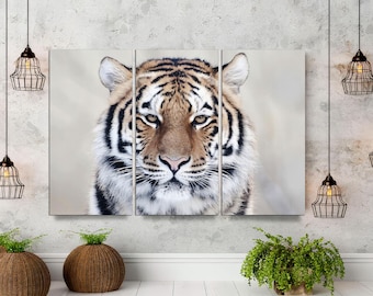 Tiger Canvas Wall Art, 3-Panel Wild Animal Giclée Print