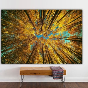 LISTO PARA COLGAR Árboles de álamo y cielos azules, impresión en lienzo, lienzo de bosque, lienzo de naturaleza para decoración de pared, diseño de arte de pared de oficina, hojas amarillas,