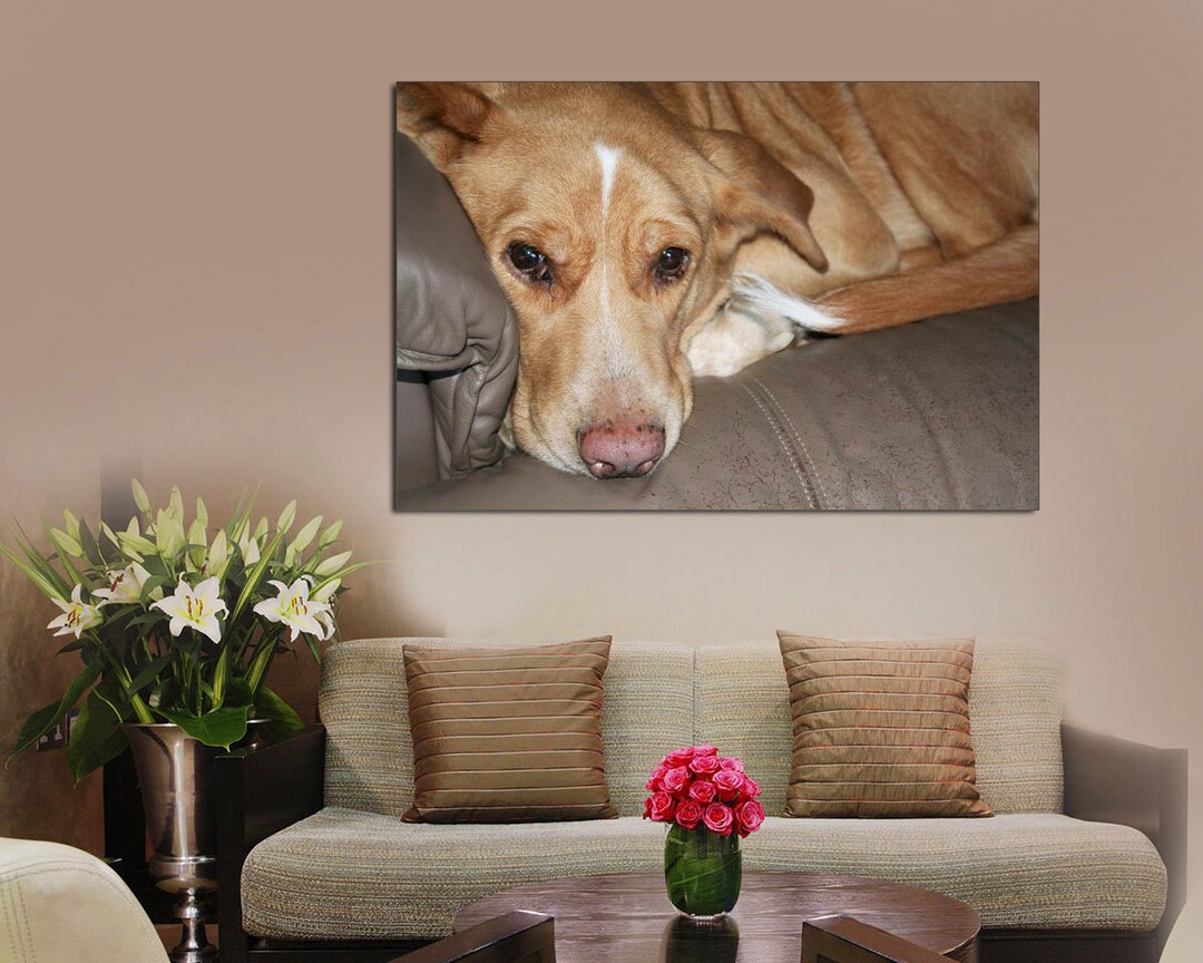 Pet Photo to Canvas, Your Photo to Canvas, Family Memories, Photo