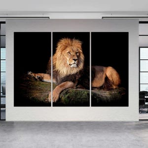 3-Panel Canvas Split, African lion, Lion Wall Art, Wild Animal Print, Large Lion Art, Multi Panel Lion Art, Lion Large CANVAS Ready to Hang.