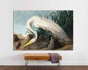 John James Audubon, Trumpeter Swan, 1838, Wall Décor Premium