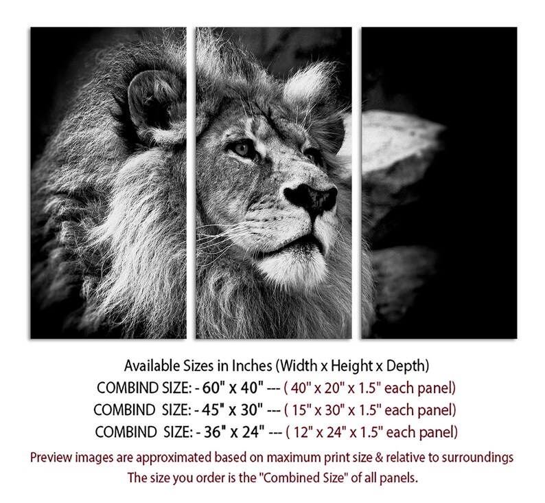3 Panel Canvas Split Black and White African Lion Canvas Etsy