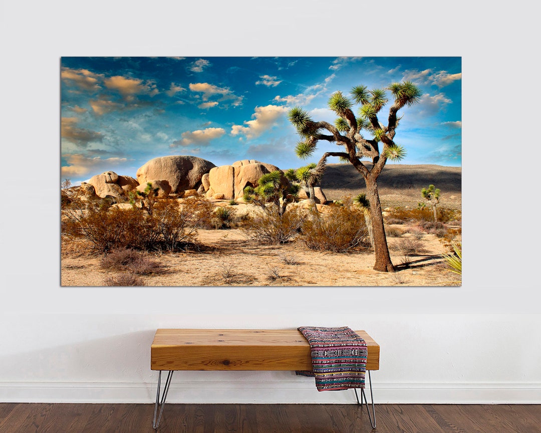 Joshua Tree Canvas Joshua Tree National Park, CA Scenic Canvas Print