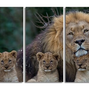 May include: A large male lion with a thick mane sits with two young cubs. The lion has a serious expression, while the cubs look up at the camera with curious eyes. The background is a blurred green forest.