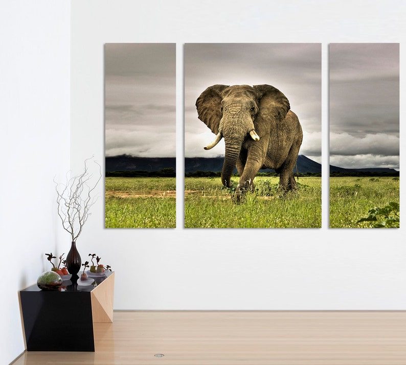 Elephant canvas print 3 Panel Split Canvas Print. Etsy