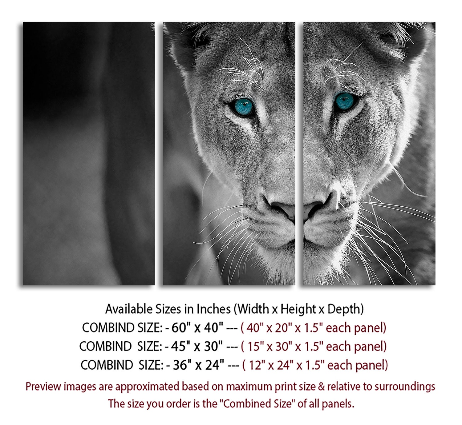 3 Panel Canvas Split African lion canvas art Giclee print Etsy