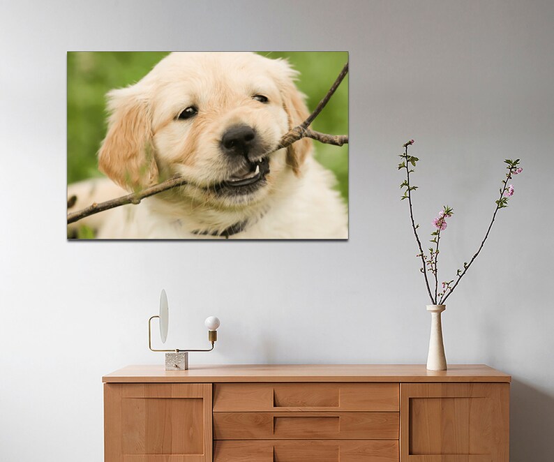 Pet Photo to Canvas Your Photo to Canvas Family Memories Etsy