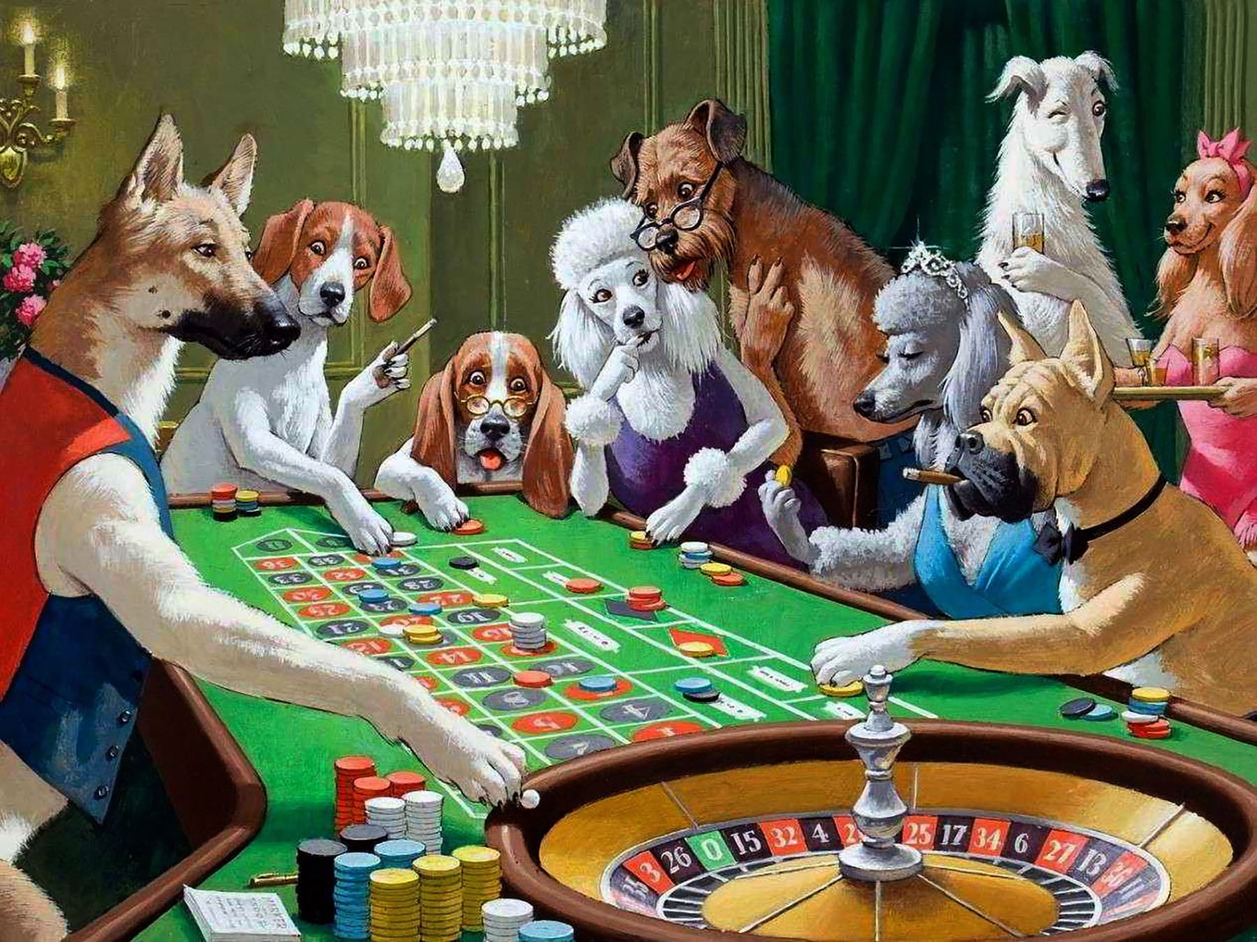 Best Doggo Casino App for Mobile Gaming — Review for Canada