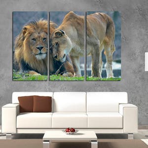 3 Panel Canvas Split Lion Wall Art Lioness Canvas Art Lion - Etsy