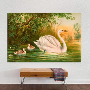 Vintage Swans Art Print on Canvas, Vintage Swan Poster Art, Classic Swan Art, Beautiful Swan Print, Swan Wall Art on CANVAS Ready to Hang.