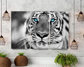 Blue Eyed Tiger Canvas Wall Art, 3 Panel Split