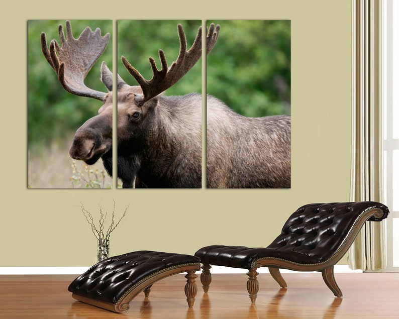 Moose Wall Art Moose Canvas Moose Canvas Wall Art Moose Decor Etsy