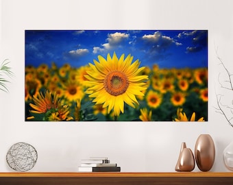 Puede incluir: Un campo de girasoles con un girasol amarillo brillante en el centro de la imagen. El girasol está enfocado y los otros girasoles están desenfocados en el fondo. El cielo es azul con nubes blancas.