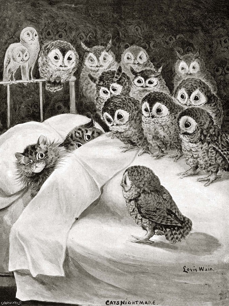 May include: A black and white illustration of a cat having a nightmare with a group of owls surrounding the bed. The caption reads "Cats Nightmare".