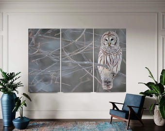 Barred Owl Canvas Wall Art, Whimsical Forest Print, Ready to Hang