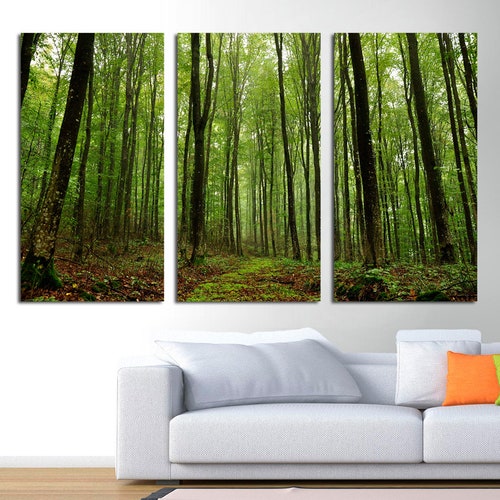 3 Panel Split Triptych Canvas Print of Trees in Forest. - Etsy