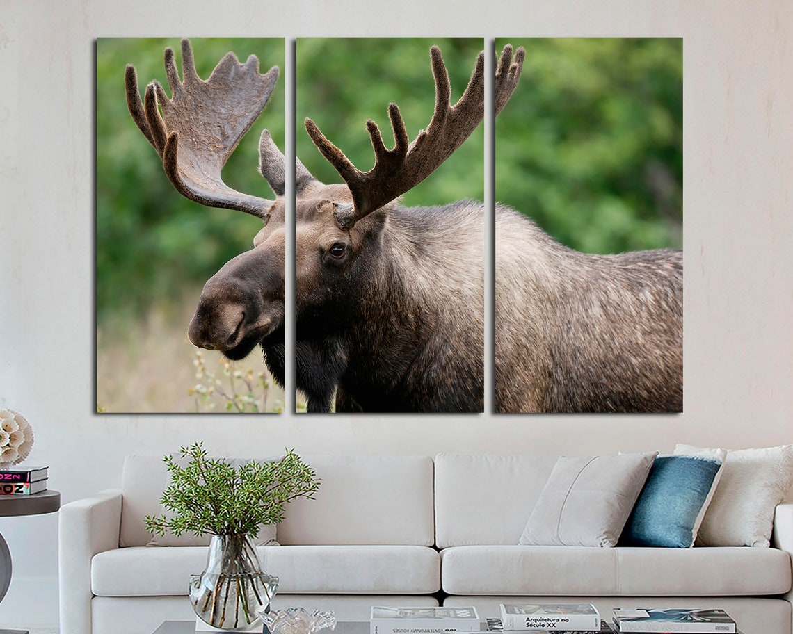 Moose Wall Art Moose Canvas Moose Canvas Wall Art Moose Decor Etsy