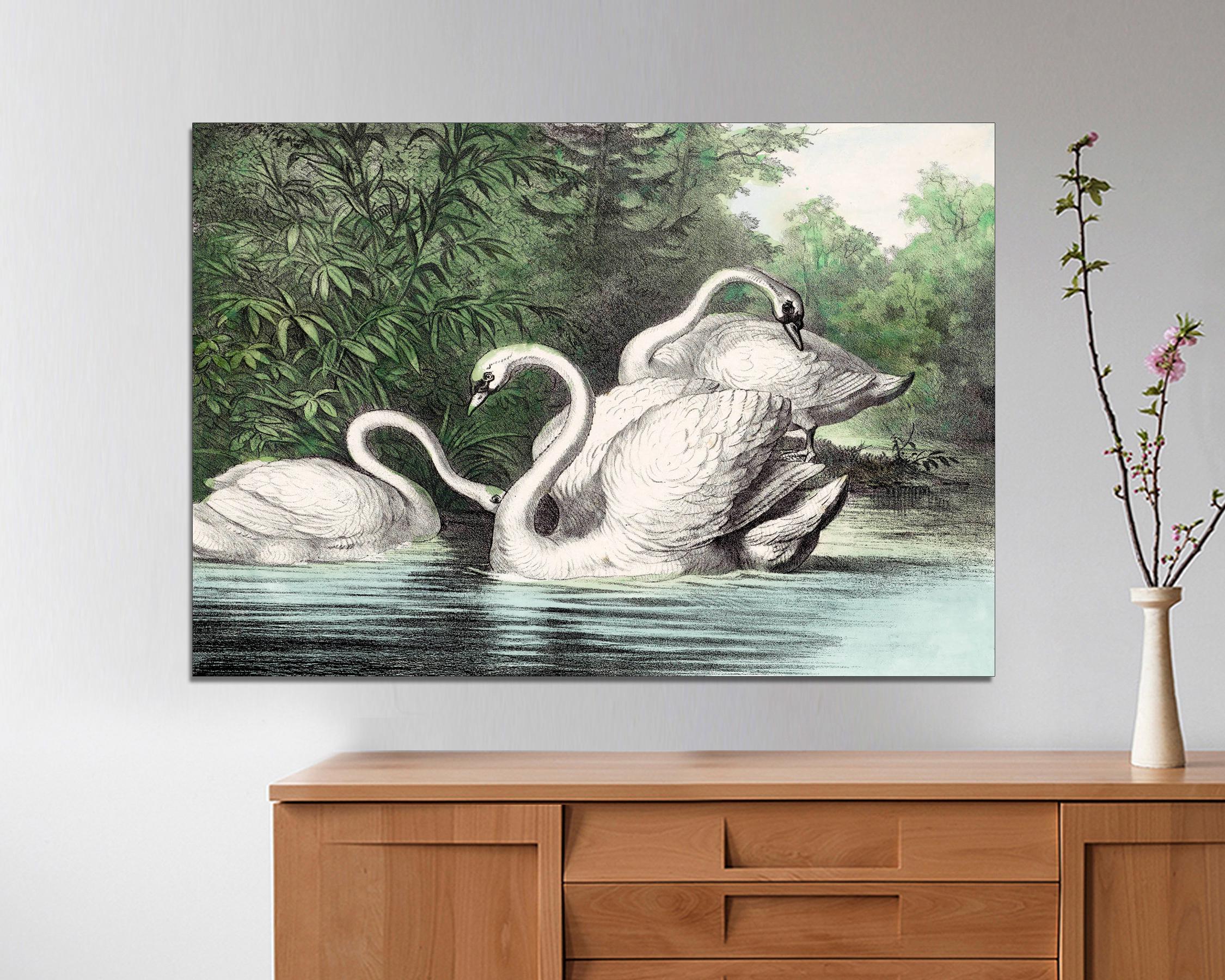 アートポスター　SWAN Vintage Swan Art Print on Canvas, Ready to Hang - Etsy