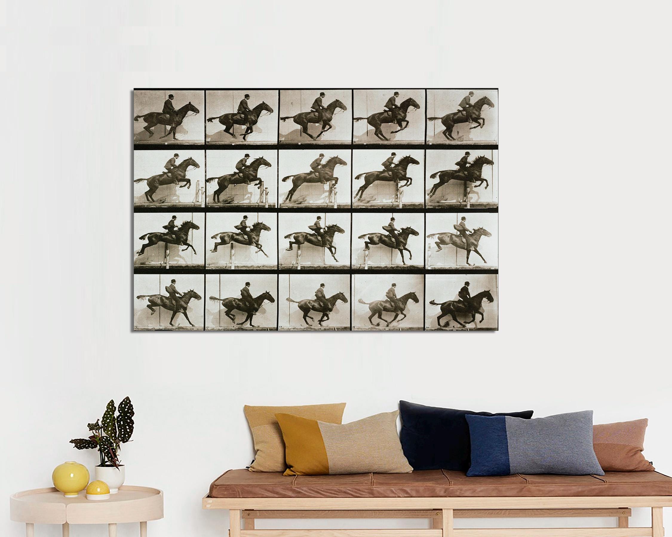 Eadweard Muybridge Motion Study Art, Horse Walking From Animal