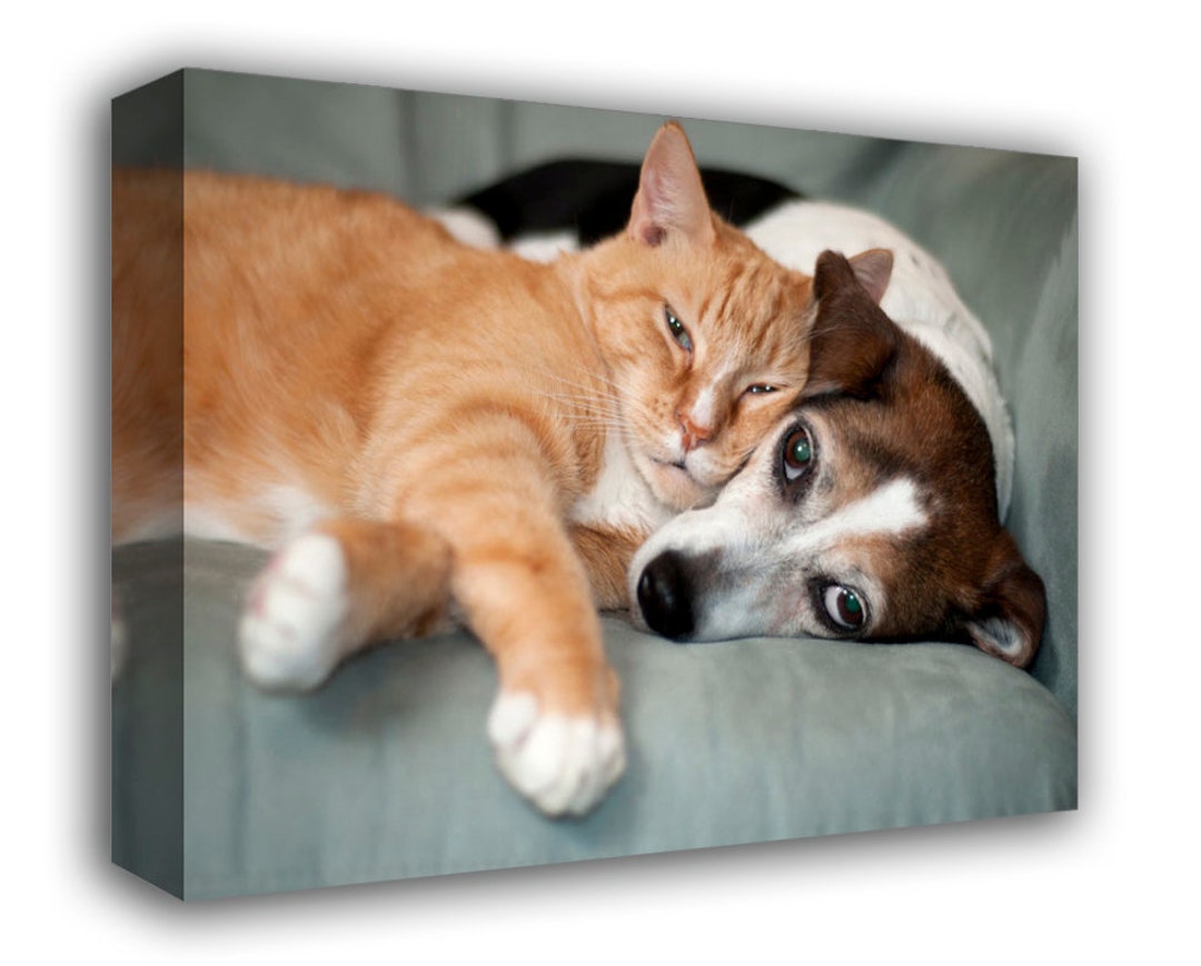 Pet Photo to Canvas, Your Photo to Canvas, Family Memories, Photo