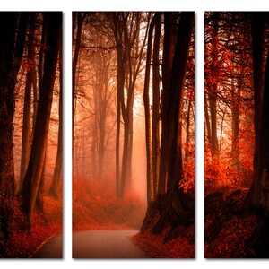 Red Autumn Forest Canvas Print, 3 Panel Nature Wall Art image 6