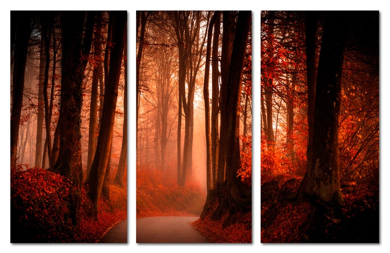 Red Autumn Forest Canvas Print, 3 Panel Nature Wall Art image 6