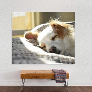 May include: A white and brown dog with its eyes closed is sleeping on a grey and white patterned blanket. The dog is curled up in a ball with its head resting on its paws.