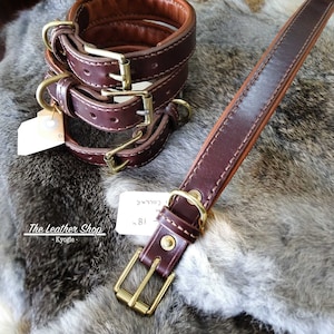 Premium Hundehalsband